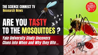 Do You Taste Good to Mosquitoes mosquito disease [upl. by Omissam390]