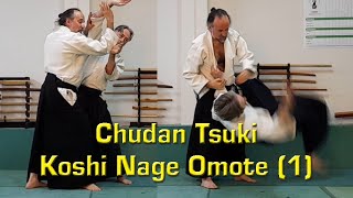 Chudan Tsuki Koshi Nage Omote 1 martialarts aikido koshinage karate judo jujutsu boxing [upl. by Nodyarg]