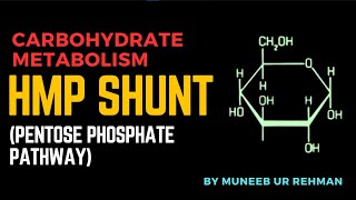 HMP Shunt Pentose Phosphate Pathway With Structures  Carbohydrate Metabolism  Pharm D [upl. by Ylrrad791]