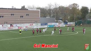 Highlights partita VSM vs Moie Vallesina [upl. by Bobbette]