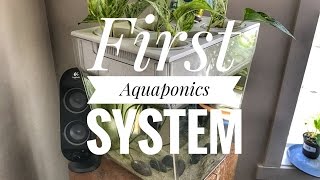 First Aquaponics System [upl. by Eirrehc]