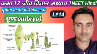 class12 Ncert Biology L14 l Embryo भ्रूण l LS section of Dicot amp monocots Embryo biology neet [upl. by Dyson827]