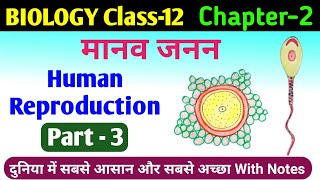 biology class 12 chapter 2  manav janan class 12th biology  human reproduction class 12 ncert [upl. by Arahsak622]