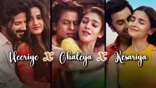 Heeriye X Chaleya X Kesariya  Arijit Singh Mashup  Mix By Applextones [upl. by Brigg]