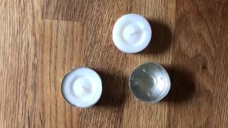 DIY Oyster Shell Votives [upl. by Aelram]