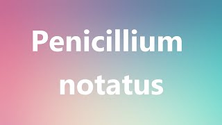 Penicillium notatus  Medical Definition and Pronunciation [upl. by Eanrahc]