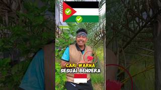 petualangan cari warna sesuai bendera palestina  ayobantupalestina [upl. by Leunamne]