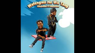 Watengwa amp WuTang  ChindoMan Ft Cappadona [upl. by Barde408]