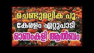 CHENDUMALLIKA POO KANDAL  ചെണ്ടുമല്ലിക പൂ കണ്ടാല്‍  chendumallika album song  നാടൻ പാട്ട് [upl. by Blayze]