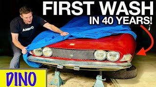 First Wash in 40 Years RARE Fiat Dino Moldy Disaster Detail [upl. by Christianity]