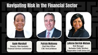 Navigating Risk in the Financial Sector [upl. by Aikym]