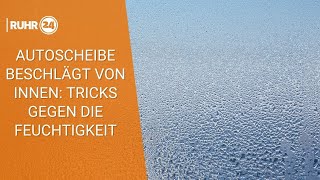 Autoscheibe beschlägt von innen Tricks gegen die Feuchtigkeit [upl. by Wohlert339]