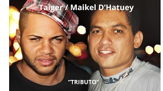 Tributo al Taiger M Ft Julito PadronRoldan Ex OrichasMaria Carla Llera Soler Yandi Morales [upl. by Adnyl92]