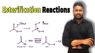 5Esterification Reactions  Reactions involving OH bond Breaking  Acylation  Acetylation [upl. by Farra]