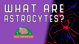 What Are Astrocytes [upl. by Yalcrab]