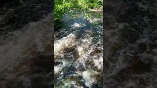 Nine Mile Creek in Bloomington Minnesota [upl. by Runkle]