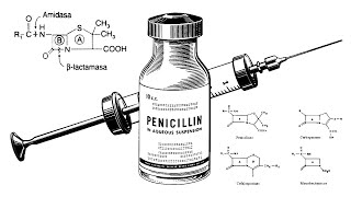 Sepsis y Antibióticos Parte 2  Antibióticos [upl. by Estella]