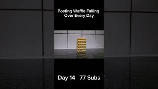 Posting Waffle Falling Over Everyday  Day 14  77 Subs [upl. by Aeki10]