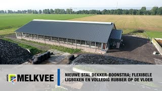 Nieuwe stal DekkerBoonstra flexibele ligboxen en volledig rubber op de vloer [upl. by Atil744]