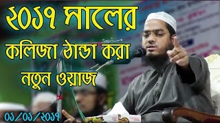 Hafizur Rahman Siddiki Bangla Waz 2017  Bangla New Waz 2017 Kolija Danda Kora New Waz [upl. by Chilson590]