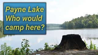 Payne Lake Review Who would camp at Payne Lake Campground [upl. by Ihteerp704]