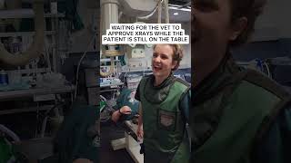 Are all DoctorsVets like this doctor vet technician nurse vettech funny pets dog cat [upl. by Assenal732]