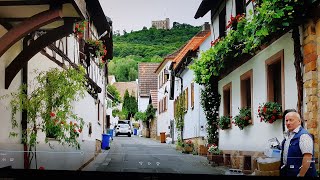 Weingüter in der Pfalz [upl. by Rose]