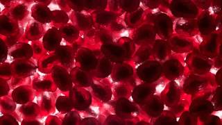 FAGE Total Yoghurt Commercial 2015 Pomegranate [upl. by Nicholas]