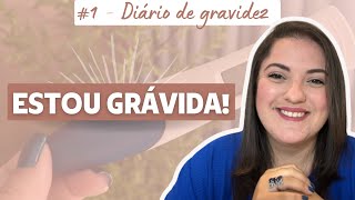 1  Diário de gravidez [upl. by Connett]