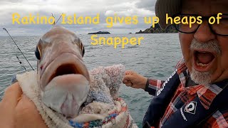 141 Rakino Island gives up heaps of Snapper [upl. by Adnot]