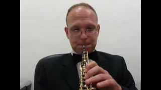 Tinnitus after Barotrauma  Famous Oboist Struggle With Tinnitus [upl. by Hebe]