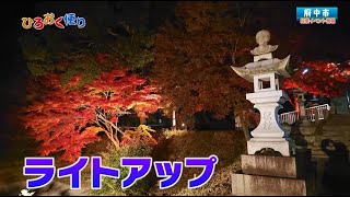 第４３２回 ひろおく便り 府中市「紅葉イベント」 [upl. by Taddeusz963]