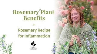 Rosemary Plant Benefits  Rosemary Recipe for Inflammation [upl. by Htebzile757]