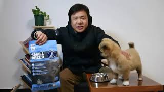 Openbox a new dog food for my puppy He seems cant help eating it dogfoodannamaetpuppyfood [upl. by Atiuqam]