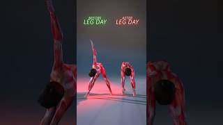 Leg Day Success WarmUp vs Stretch – Do Both for Maximum Gains 💪🔥 [upl. by Forcier]