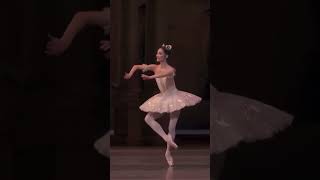 【厳選バレエ】天才的な品やかな動き🩰金子扶生Kaneko Fumi ballet バレリーナ [upl. by Akener]