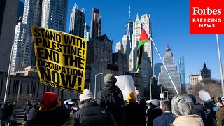 New York Protesters Arrested ProPalestinian SitIns Briefly Close Brooklyn Bridge Holland Tunnel [upl. by Bilac]