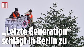 KlimaKleber köpfen Weihnachtsbaum am Brandenburger Tor [upl. by Enymsaj]