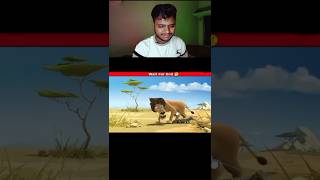 Lion Cub 😧 shorts ytshortsindia fuuny [upl. by Ahl]