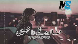 FAIDA TAKKAY DA NAI ❤️  SLOWED AND REVERB  SARAIKI SONG [upl. by Llatsyrc]