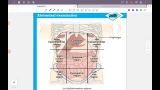 Internal medicine practical Abdominal examination  part 1 [upl. by Samy]