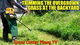 OVERGROWN GRASS CUTTING USING BRUSH CUTTER  GRASS CUTTER MACHINE [upl. by Shanahan670]