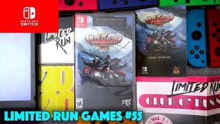 UNBOXING Divinity Original Sin II Definitive Edition Nintendo Switch Limited Run Games 55 [upl. by Evangelina]