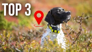 TOP 3  Meilleur Collier GPS Chien 2023 [upl. by Ariec]