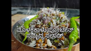 Healthy Spouts  Molake kalugalu weight loss food Spouts recipe in Kannada Masti foodies channel [upl. by Meggie332]