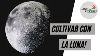 Influencia de la luna en los cultivos de nuestro huerto o jardín Calendario lunar [upl. by Jeffrey]