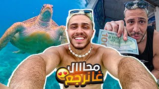 خرجات لينا سلحفات ضخمة وسط البحر وكلنا تخلعنا 😂 تقاداو لينا الفلوس  و جربت الماساج ديالهم 🤭 [upl. by Hawley]