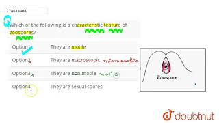 Which of the following is a characteristic feature of zoospores  CLASS 12  NTA NEET SET 32 [upl. by Ymereg]