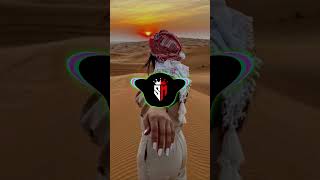 New Afghan Remix Song Slowed Reverb 2024 Afghan Remix Song Bass Boosted [upl. by Campagna]