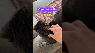 Thai massage cat catty [upl. by Tedie]